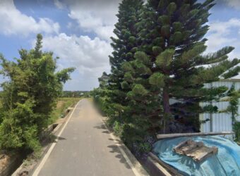 1.9萬 新屋後庄農地