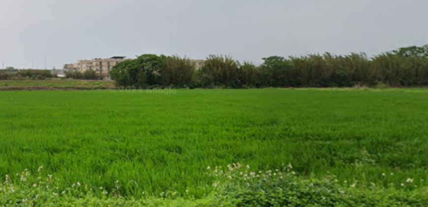 1.6萬 觀音區 觀音藍埔農保美田