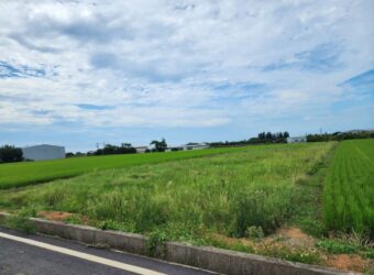 941萬 新屋區 新屋農地