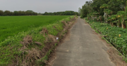 1.6萬 觀音區 觀音藍埔農保美田