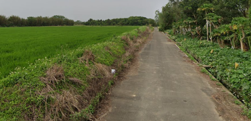 1.6萬 觀音區 觀音藍埔農保美田