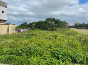 4.3萬 大園區 大園一般農