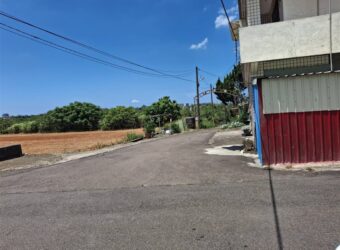 4.8萬 大園區 大觀路一般農