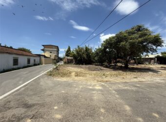 11萬 新屋區 新屋永安國小建地
