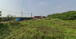 6.3萬 大園區 大園 8米路一般農