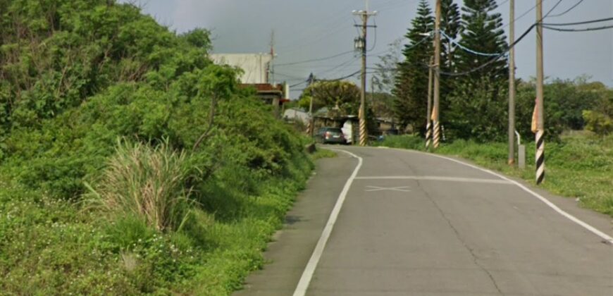 6.3萬 大園區 大園 8米路一般農