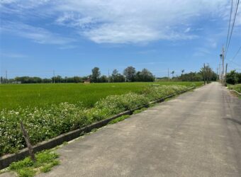 835萬 新屋區前後六米路農地