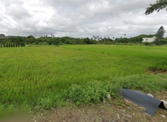 8.5萬 蘆竹區 蘆竹龍安街都內田