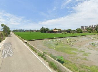 4.9萬 大園區 大園一般農