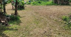 8萬 蘆竹區 蘆竹新庄子段有水電一般農