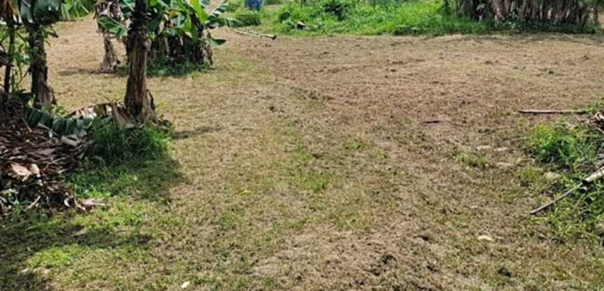 8萬 蘆竹區 蘆竹新庄子段有水電一般農