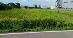 5.5萬 中壢區 台31內厝段田