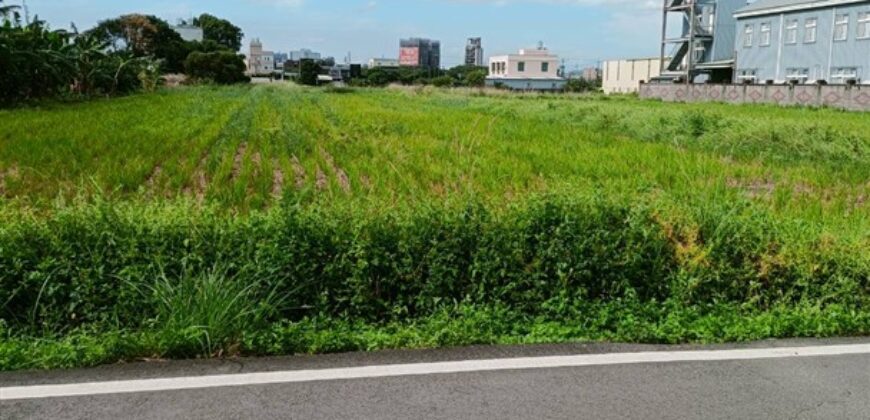 5.5萬 中壢區 台31內厝段田