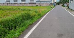 5.5萬 中壢區 台31內厝段田