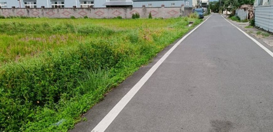 5.5萬 中壢區 台31內厝段田