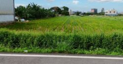 5.5萬 中壢區 台31內厝段田