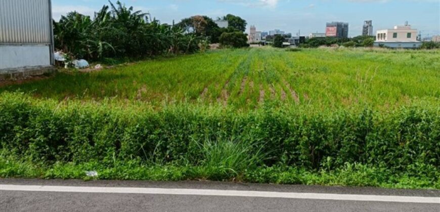 5.5萬 中壢區 台31內厝段田