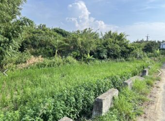 4.8萬 大園區 華興路黃金三角地