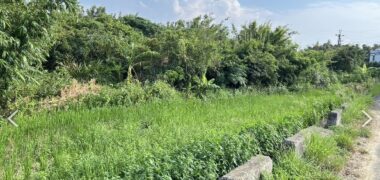 4.8萬 大園區 華興路黃金三角地