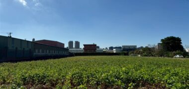 7.5萬 大園區 五塊厝大埔小段一般農