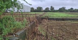 13.5萬 蘆竹區 蘆竹都計田