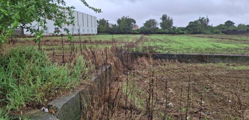 13.5萬 蘆竹區 蘆竹都計田