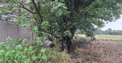 13.5萬 蘆竹區 蘆竹都計田