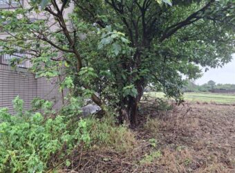 13.5萬 蘆竹區 蘆竹都計田