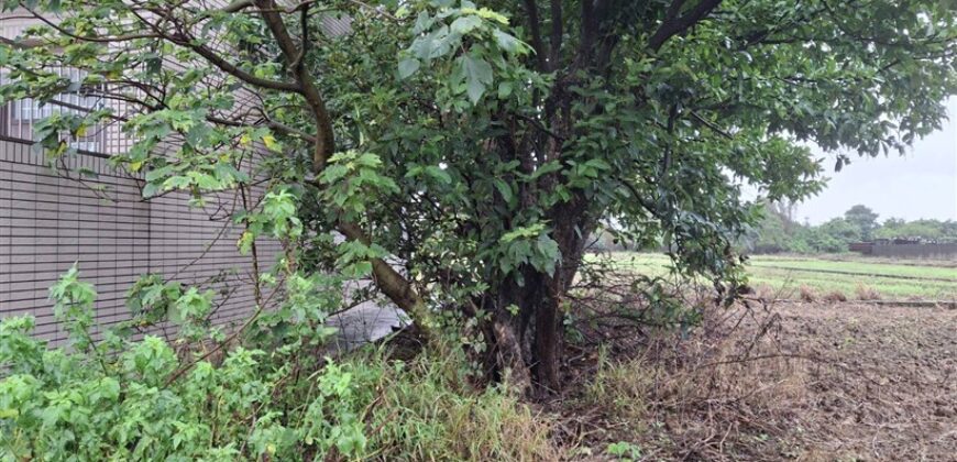 13.5萬 蘆竹區 蘆竹都計田