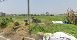 1.2萬 新屋區 新屋農地