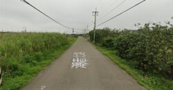 5.8萬 大園區 大園一般農地