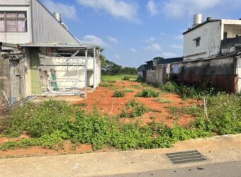 2250萬 中壢區 中央大學農+建