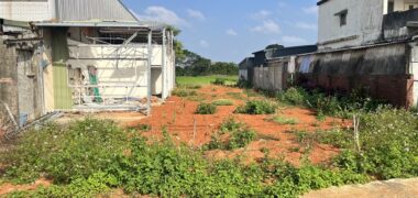 2250萬 中壢區 中央大學農+建