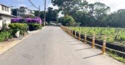 2250萬 中壢區 中央大學農+建