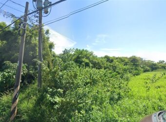 7.8萬 蘆竹區 中興路一般農