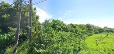 7.8萬 蘆竹區 中興路一般農