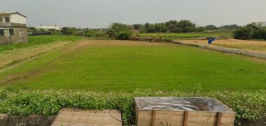 2.45萬 楊梅區 楊梅農地可蓋資材室