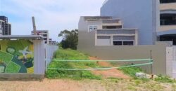 40.6萬 大園區 客運園區建地