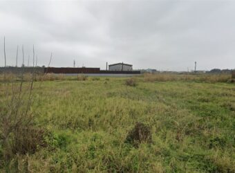 6.9萬 大園區 交通道小坪數交通用地