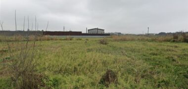 6.9萬 大園區 交通道小坪數交通用地