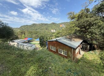 1.86萬 龜山區 休閒田園山坡地