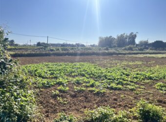 1.88萬 觀音區 月桃路旁農地