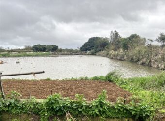 12萬 大園區 市府二期農地