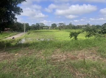 5.2萬 大園區 青埔A19聖德北路邊美農地