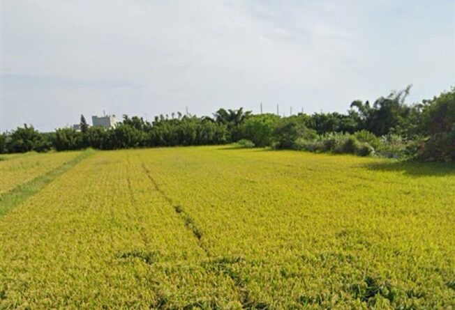 2.28萬 新屋區 三民路漂亮田
