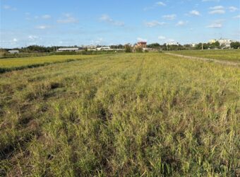 1.65萬 新屋區新屋市區東明國小方正農地