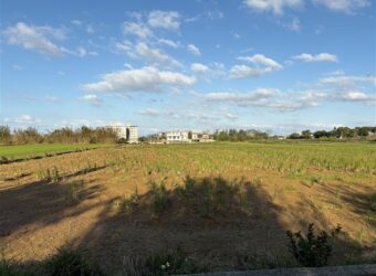 1.26萬 新屋區 新屋市區旁快樂休閒農保田