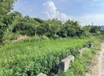 8900萬 新屋區 新屋農加建