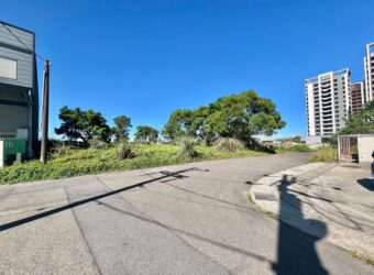 29.5萬 新屋區 好市多小坪數 工業用地