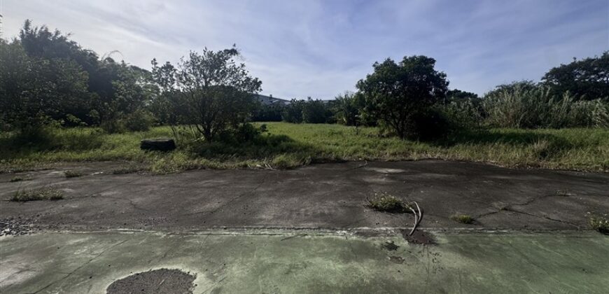 23.8萬 大溪區 正大溪交流道丁種工業用地